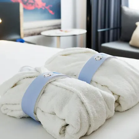 Novotel Centre Otel Lahey